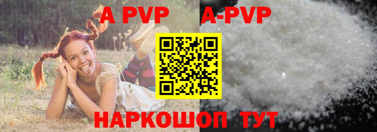 A PVP СК  APVP  Ростов Великий  Alpha PVP СК КРИС  Вход с VPN 