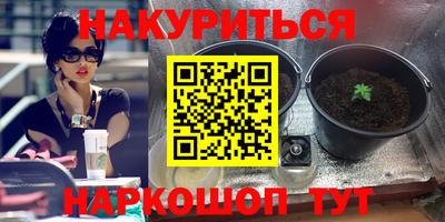 стафф Лесосибирск