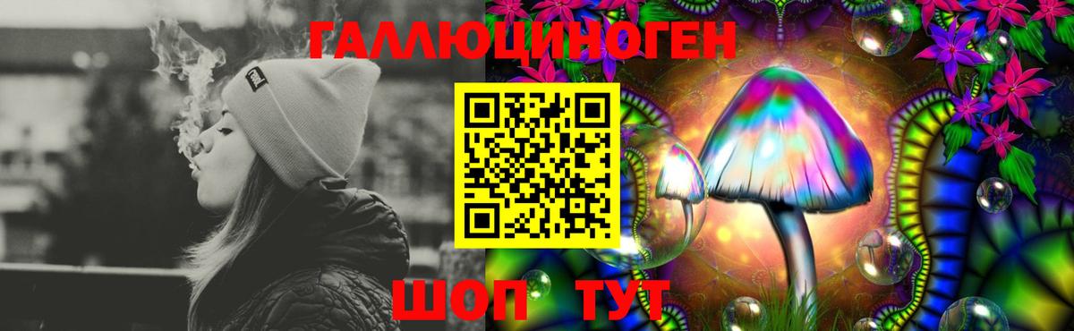 Галлюциногенные грибы Psilocybine cubensis Ростов Великий